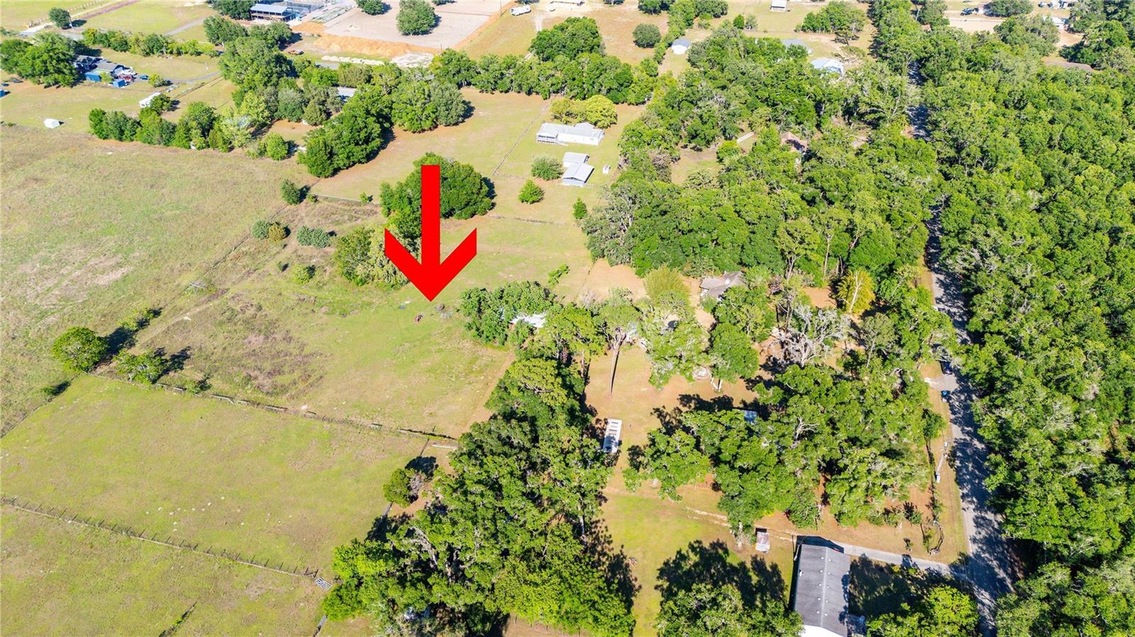 Listing photo id 0 for 27477 Old Trilby Road