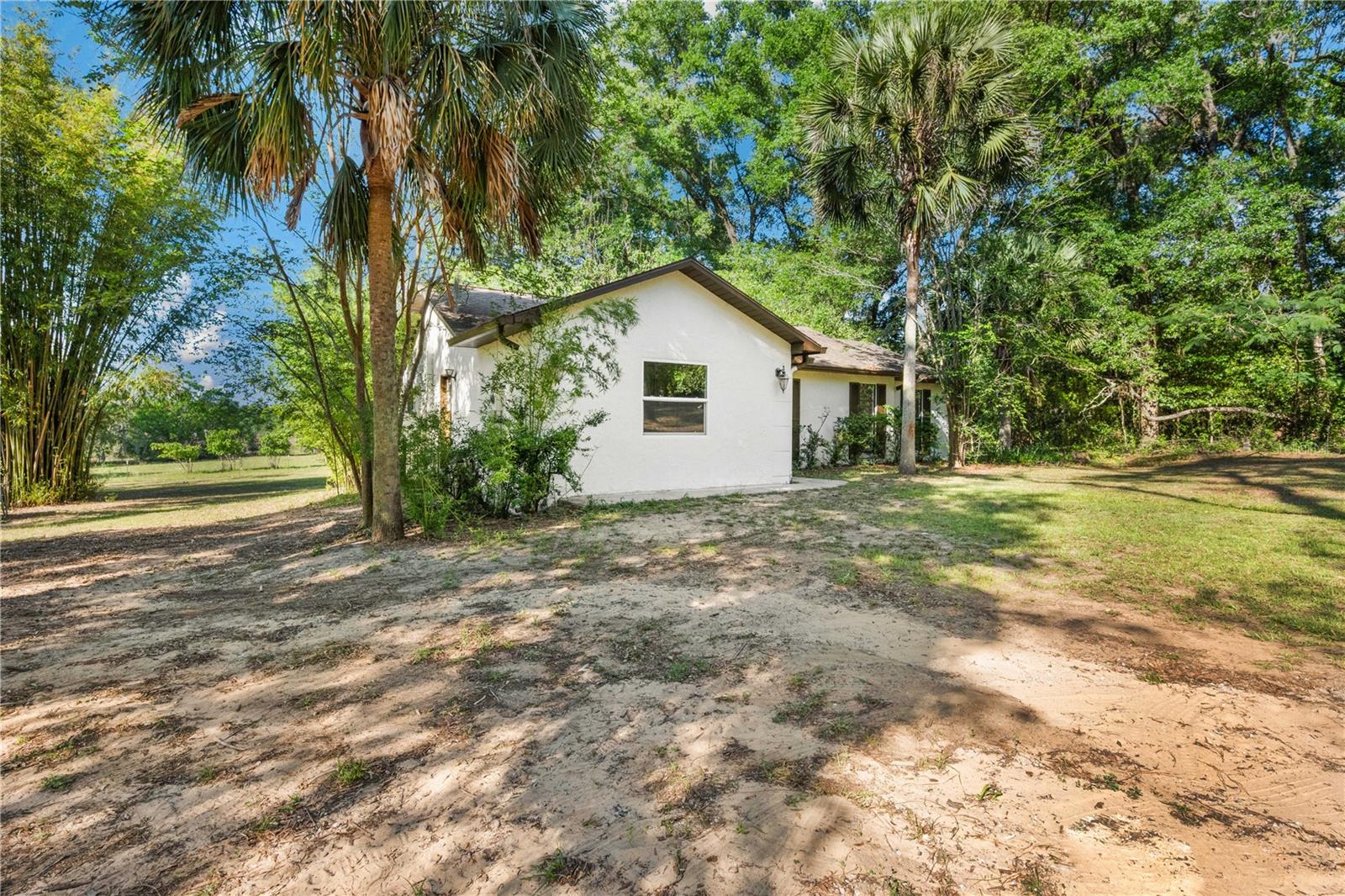 Listing photo id 19 for 27477 Old Trilby Road