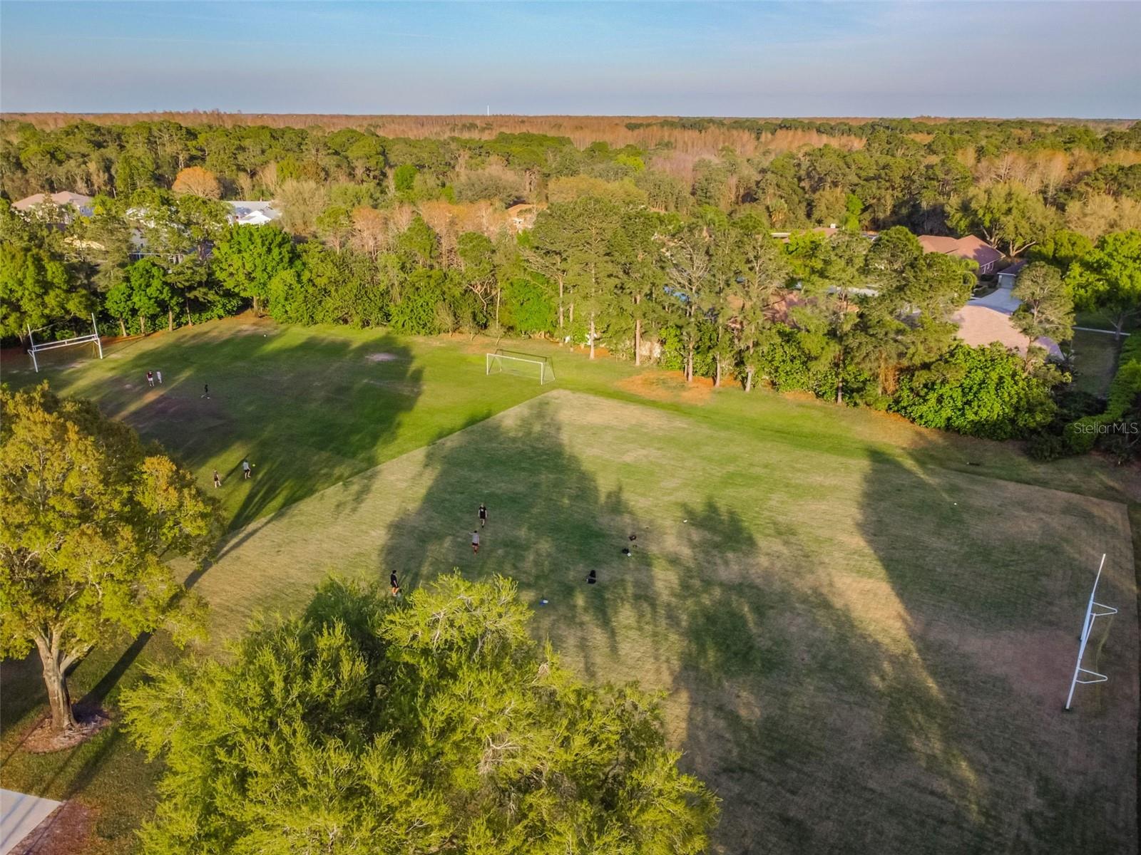 Listing photo id 54 for 2919 Northfield Drive