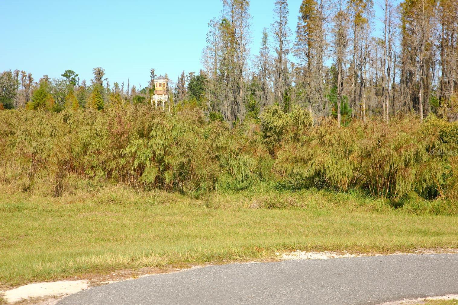 Image 43 of 76 For 9645 Runaway Breeze Drive