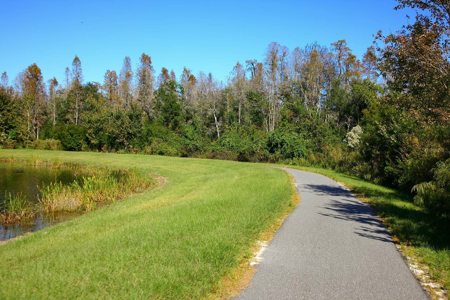 Image 50 of 76 For 9645 Runaway Breeze Drive