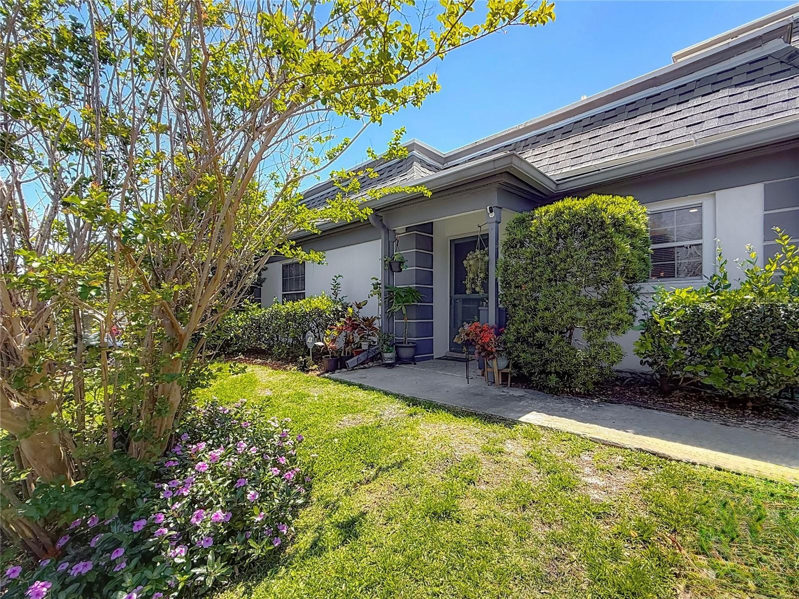 Details for 1241 Mcmullen Booth Road, CLEARWATER, FL 33759