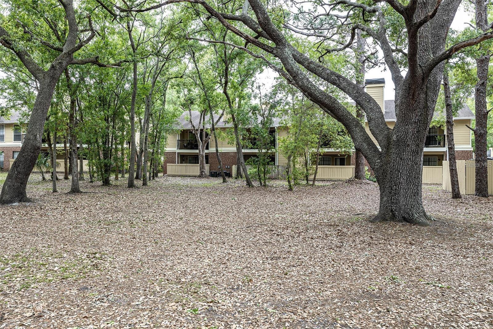 Image 20 of 27 For 8607 Fancy Finch Drive 202