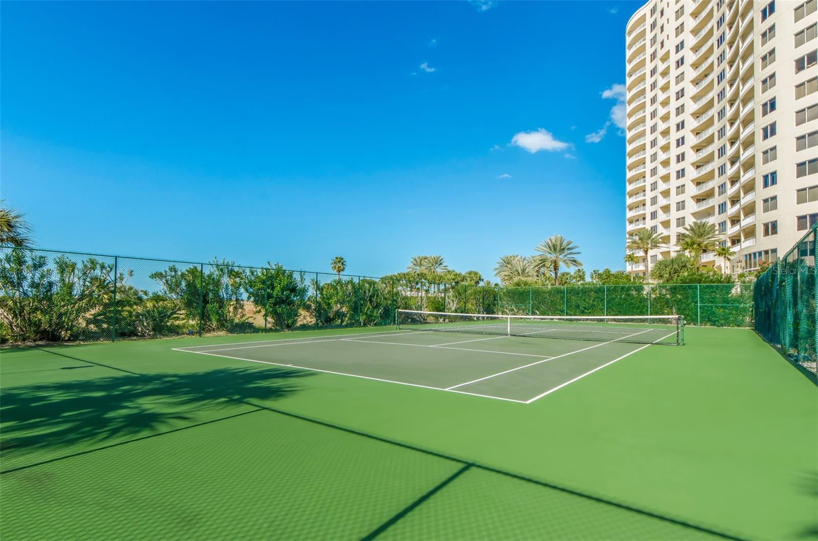 Listing photo id 22 for 1230 Gulf Boulevard 1402