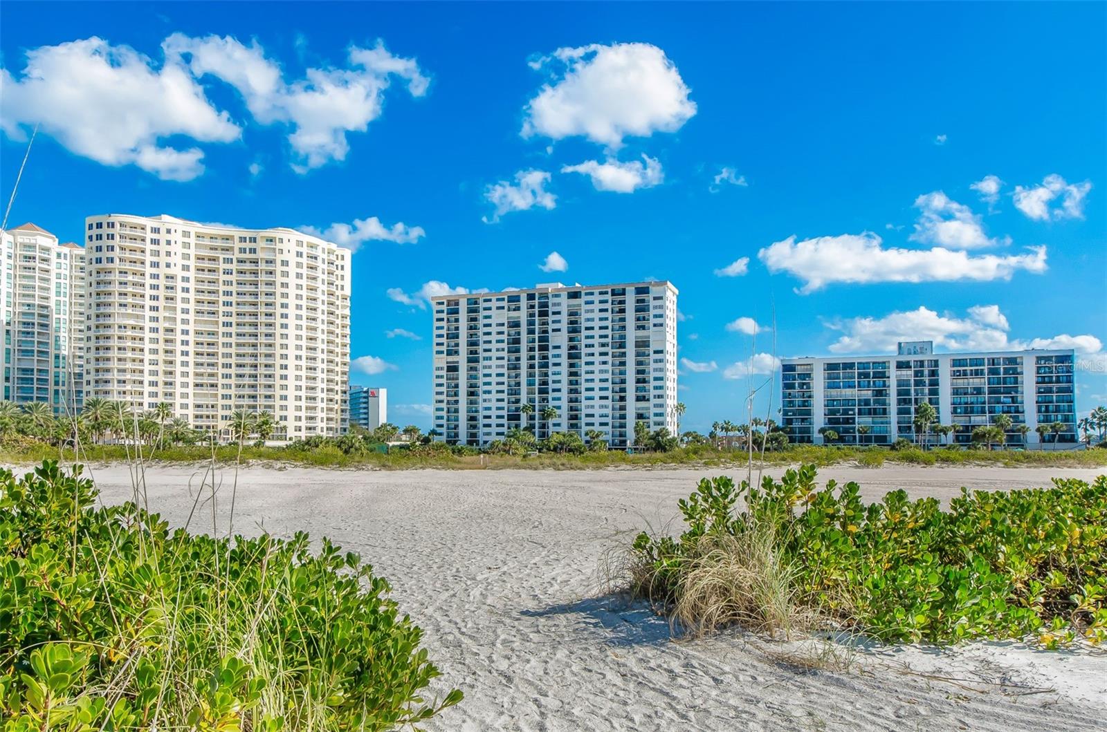 Listing photo id 31 for 1230 Gulf Boulevard 1402
