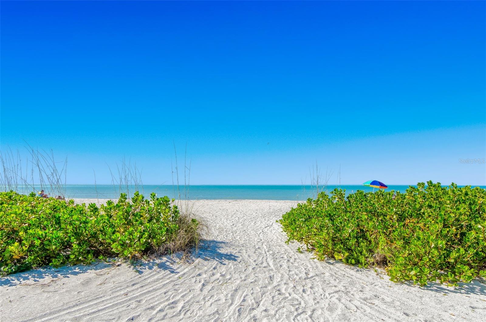 Listing photo id 32 for 1230 Gulf Boulevard 1402