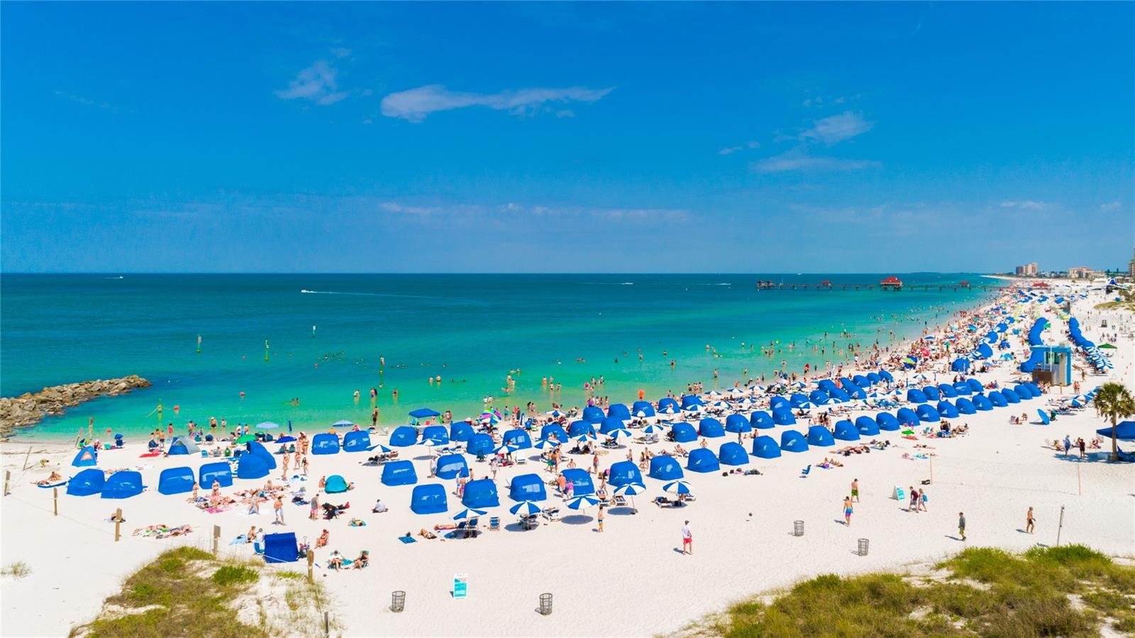 Listing photo id 50 for 1230 Gulf Boulevard 1402