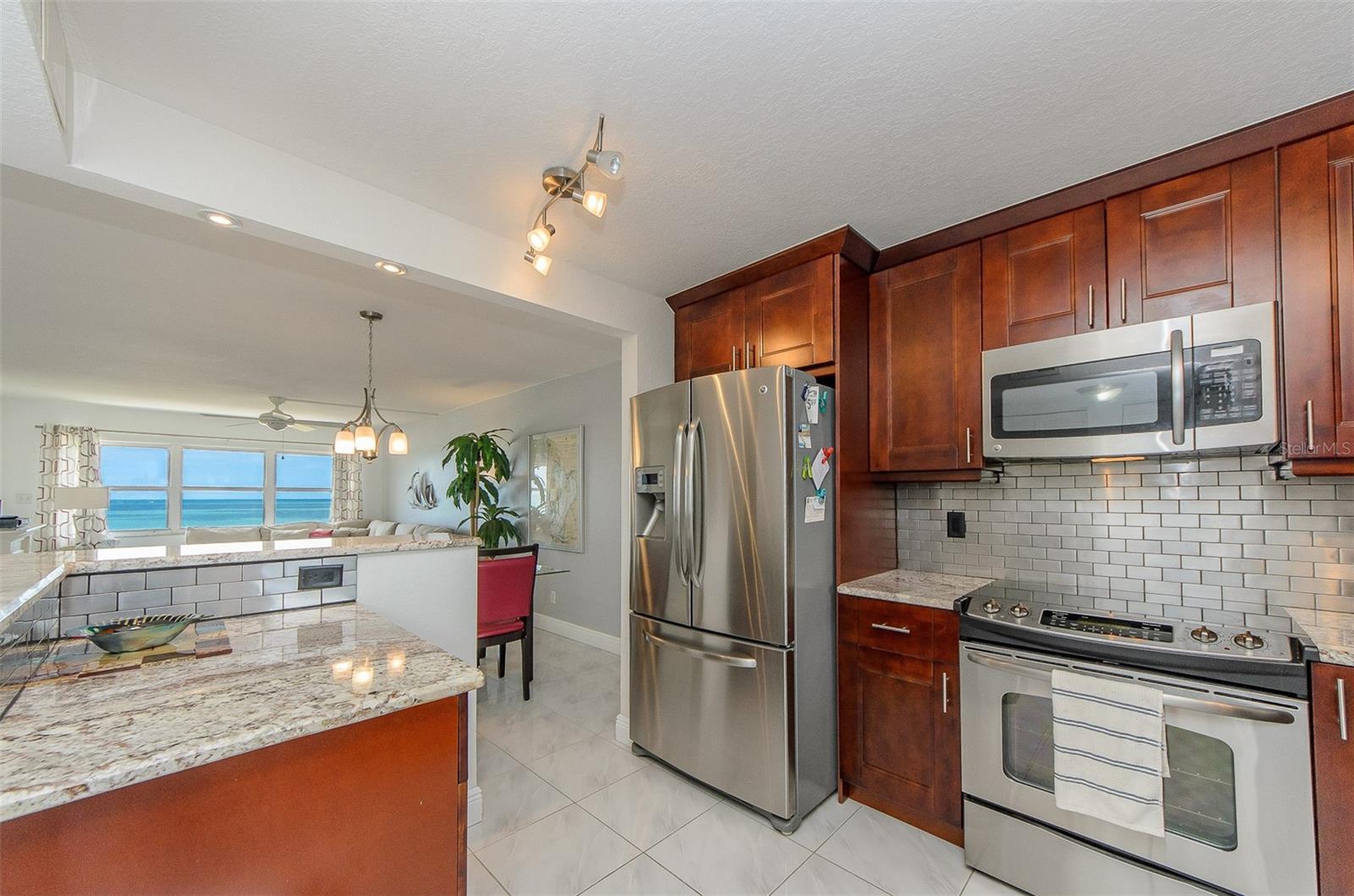 Listing photo id 4 for 1230 Gulf Boulevard 1402