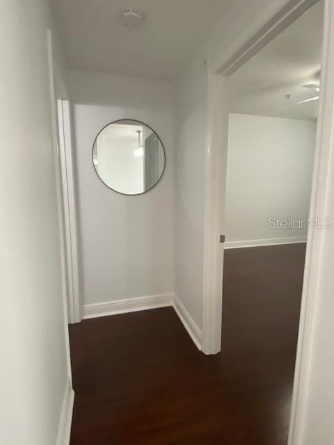 Image 18 of 27 For 4207 Dale Mabry Highway 2306