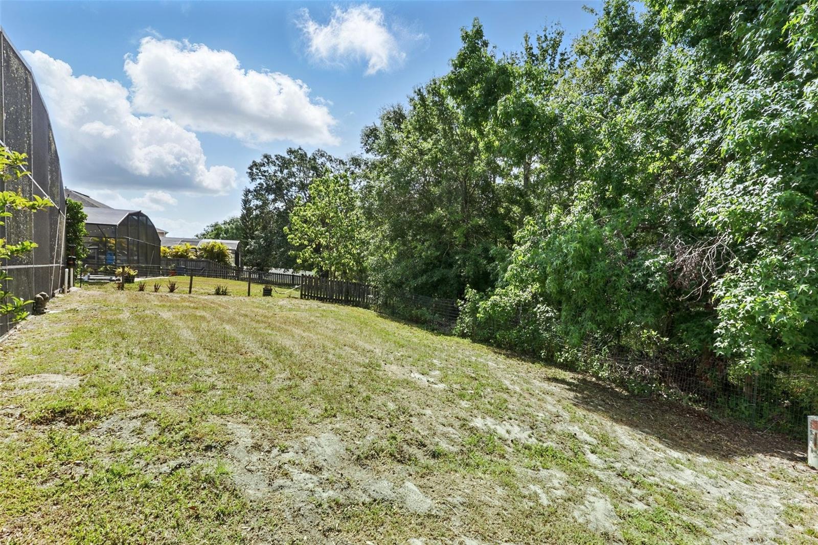 Image 43 of 45 For 2523 Jasmine Trace Drive