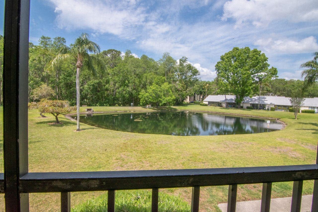Image 32 of 65 For 1400 Pine Glen Lane B2