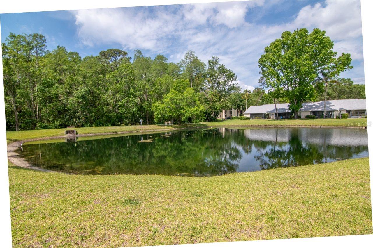 Image 33 of 65 For 1400 Pine Glen Lane B2