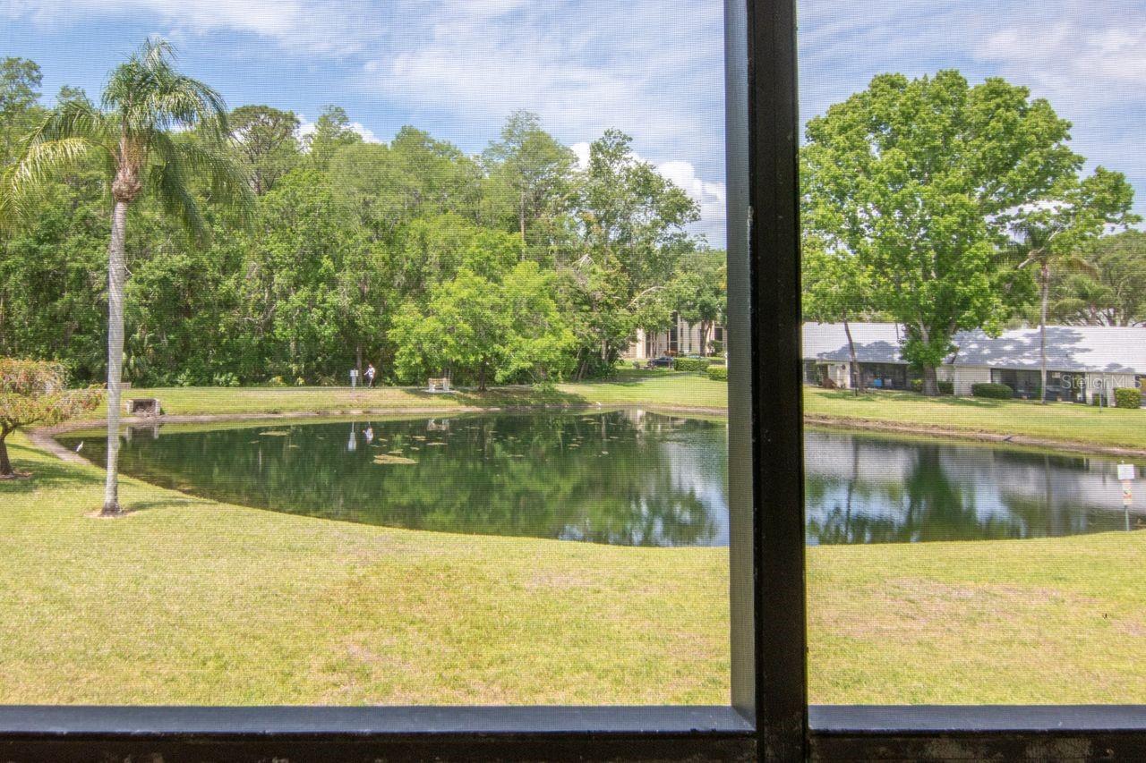 Image 34 of 65 For 1400 Pine Glen Lane B2