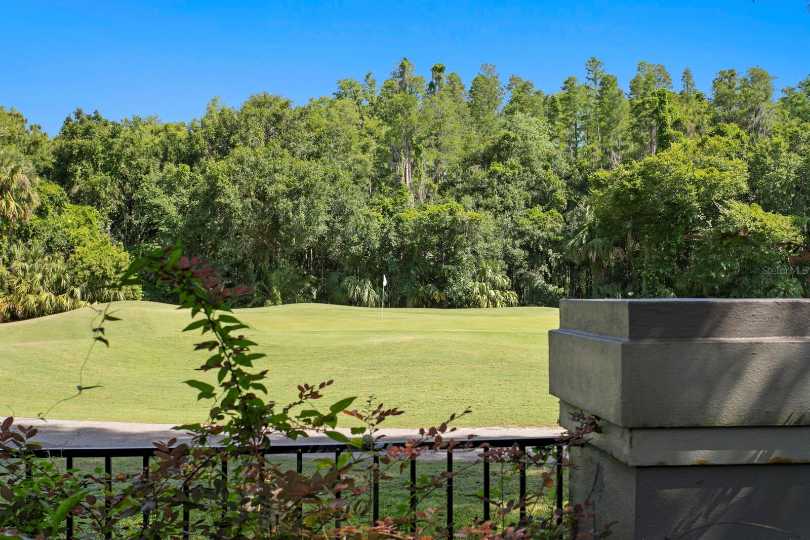 Image 84 of 99 For 6352 Maclaurin Drive
