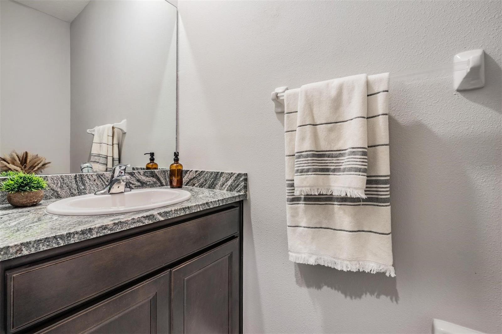 Image 23 of 48 For 13061 Brookside Moss Drive
