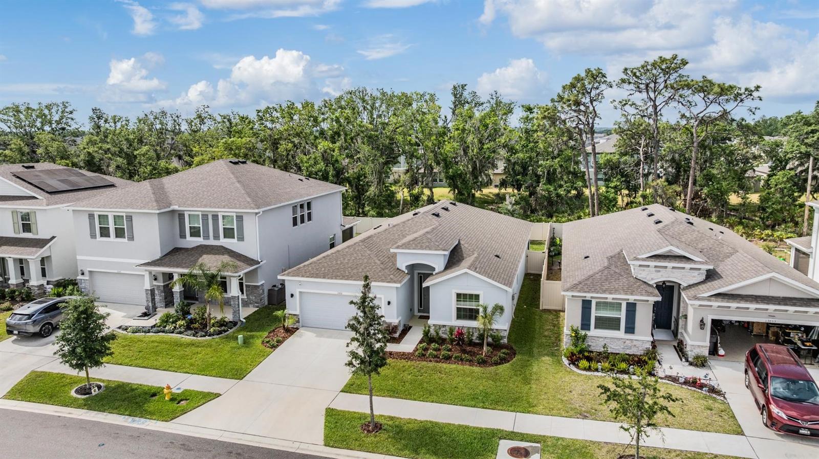 Image 35 of 48 For 13061 Brookside Moss Drive