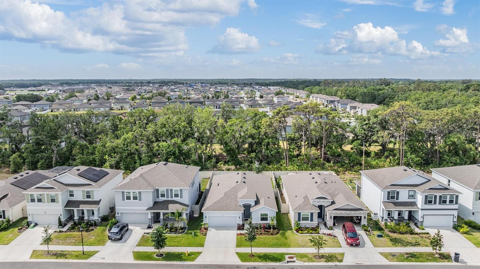 Image 36 of 48 For 13061 Brookside Moss Drive