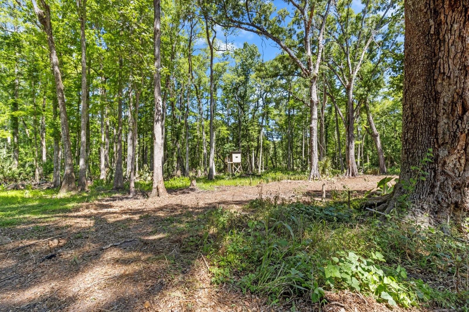 Image 40 of 60 For 11529 Locksley Court