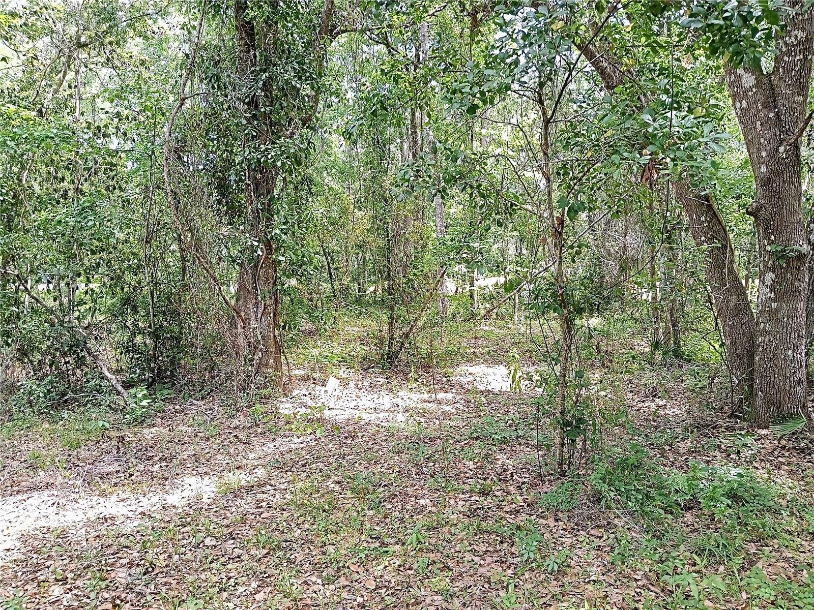 Image 36 of 39 For 24248 Casey Road