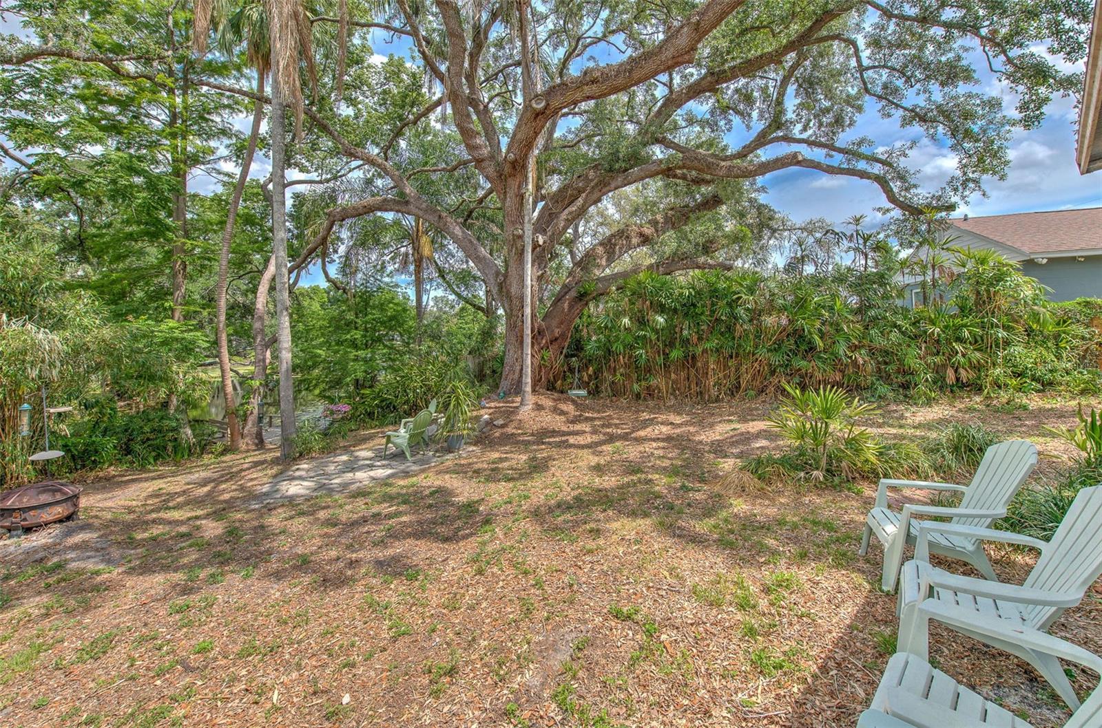 Image 31 of 39 For 10119 Cliff Circle