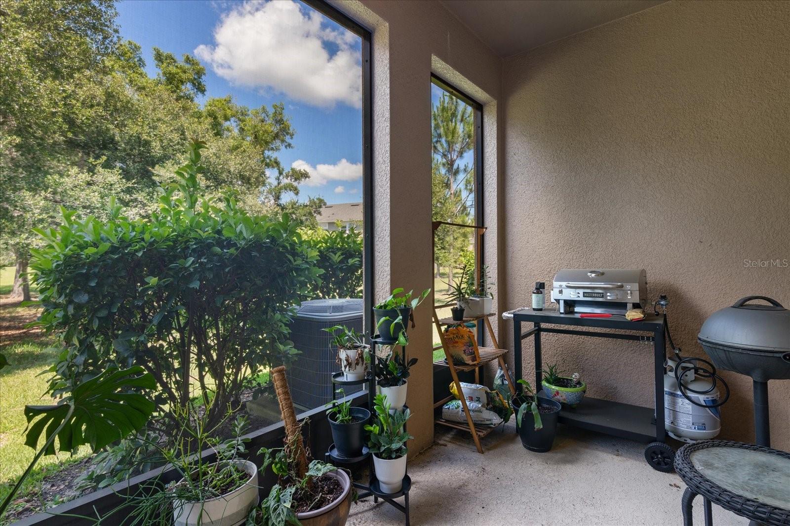 Image 15 of 46 For 6225 Scarlet Darter Way