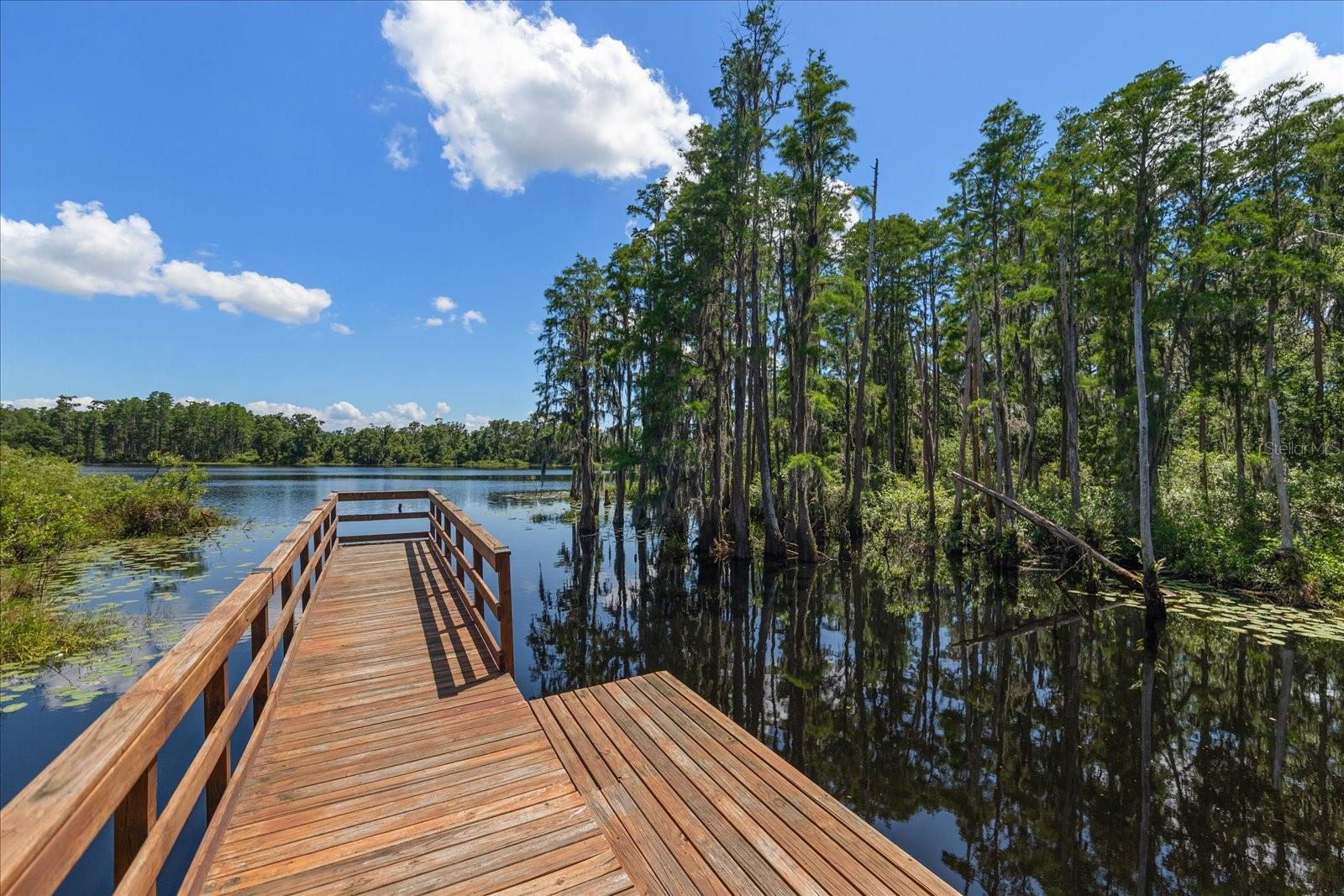 Image 41 of 46 For 6225 Scarlet Darter Way