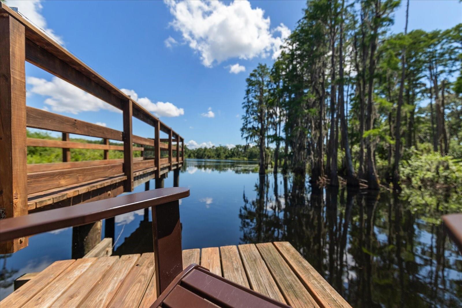 Image 42 of 46 For 6225 Scarlet Darter Way