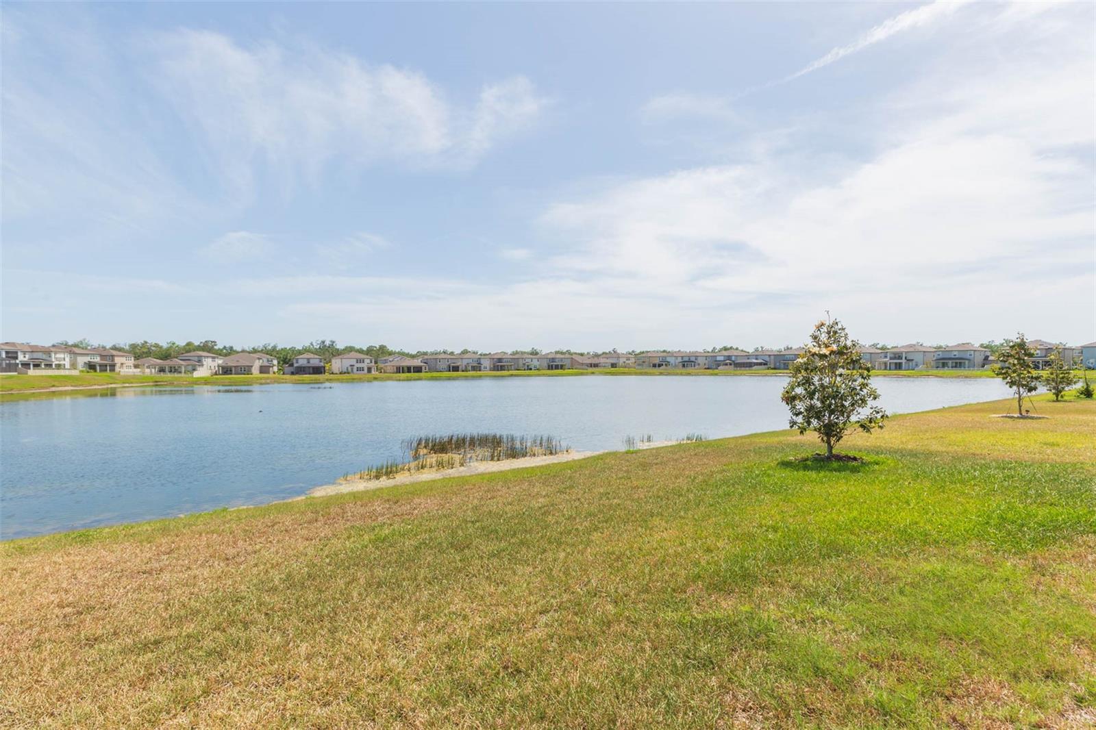 Image 37 of 60 For 5059 Bromeliad Avenue