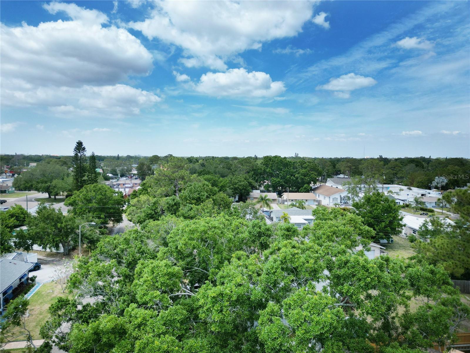 Image 34 of 46 For 771 Murphy Avenue N