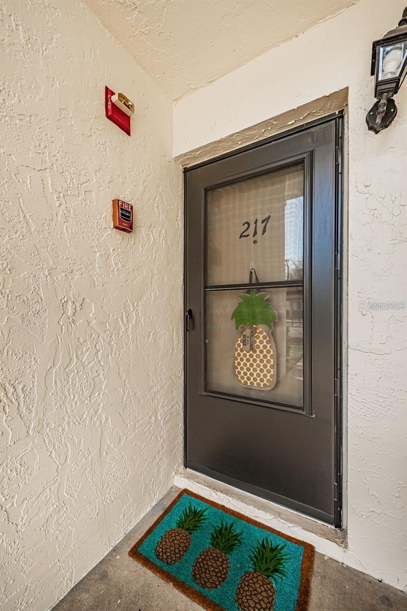 Image 3 of 33 For 217 Palmetto Court 217