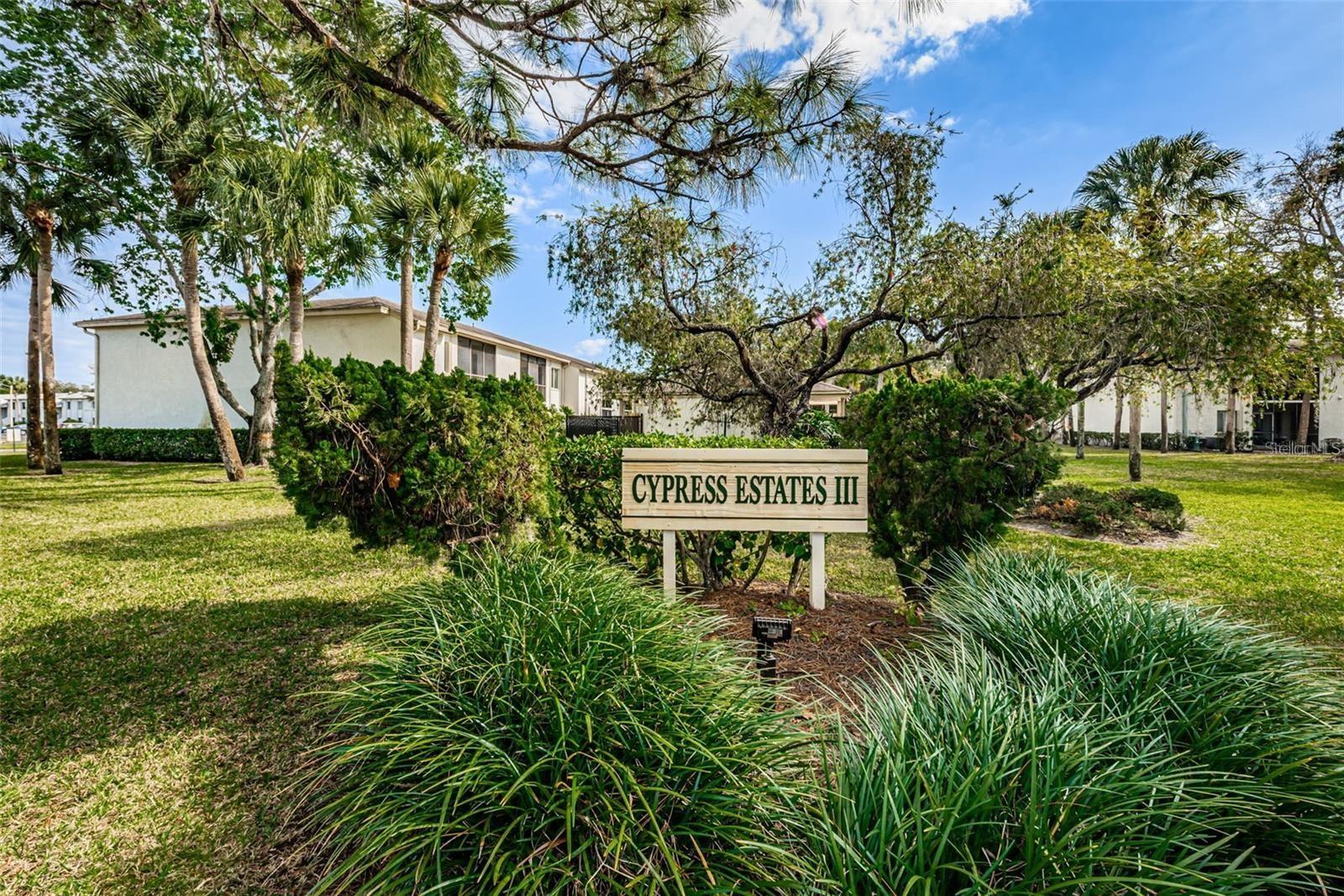 Image 31 of 33 For 217 Palmetto Court 217