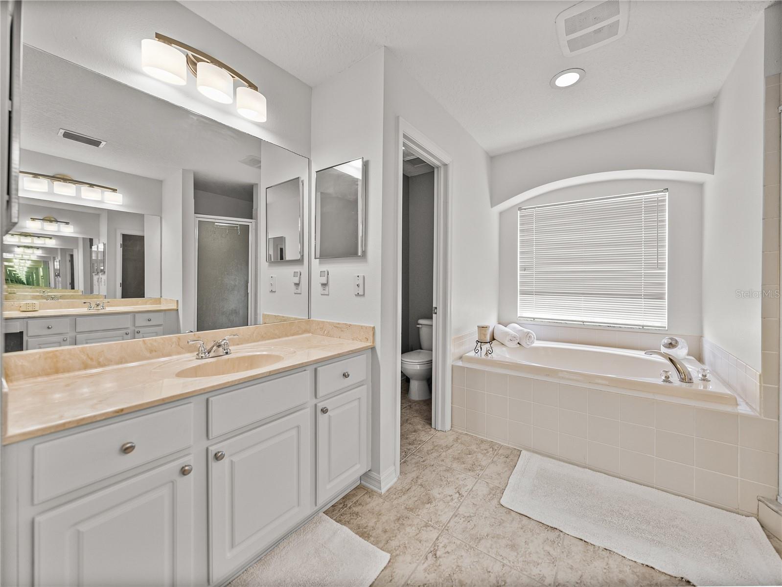 Image 41 of 79 For 27231 Liriope Court