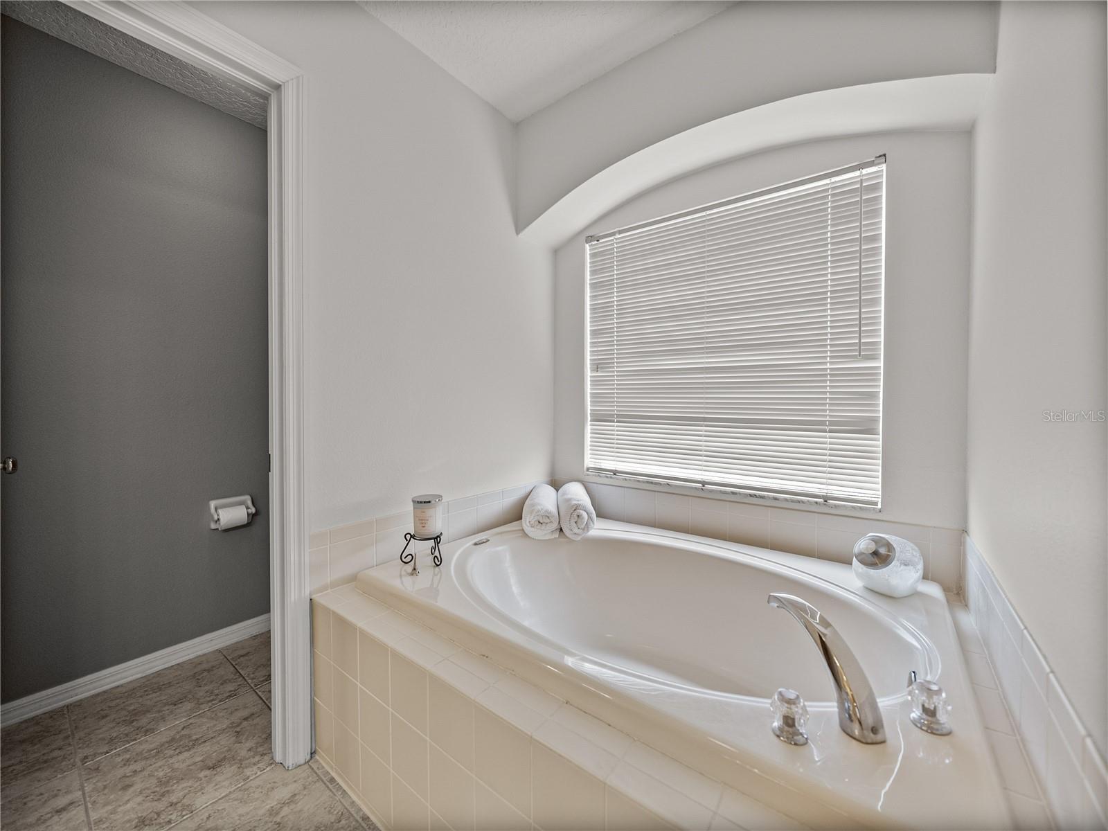 Image 43 of 79 For 27231 Liriope Court