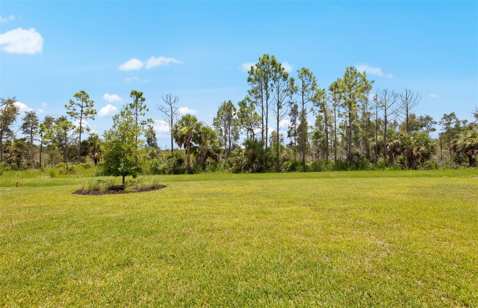 Image 46 of 56 For 17146 Moonflower Drive