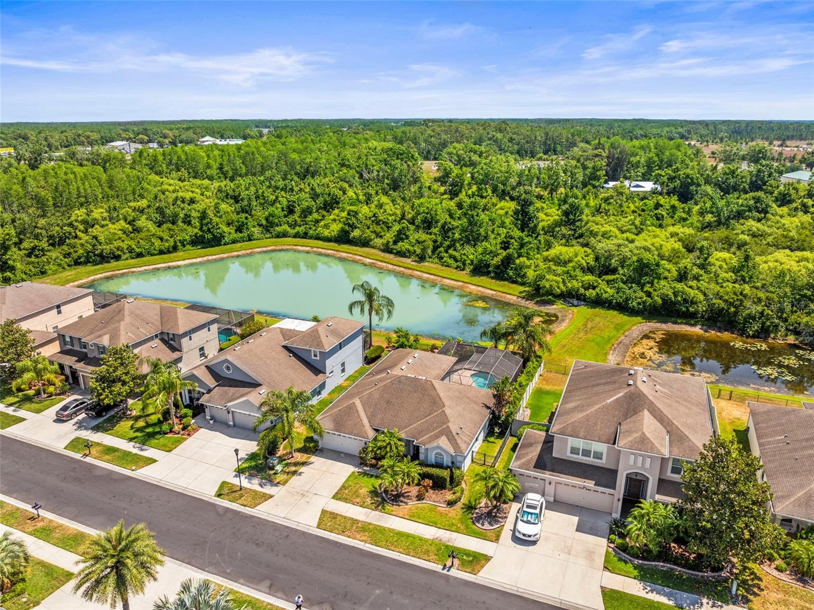 Details for 9632 Asbel Estates Street, LAND O LAKES, FL 34638