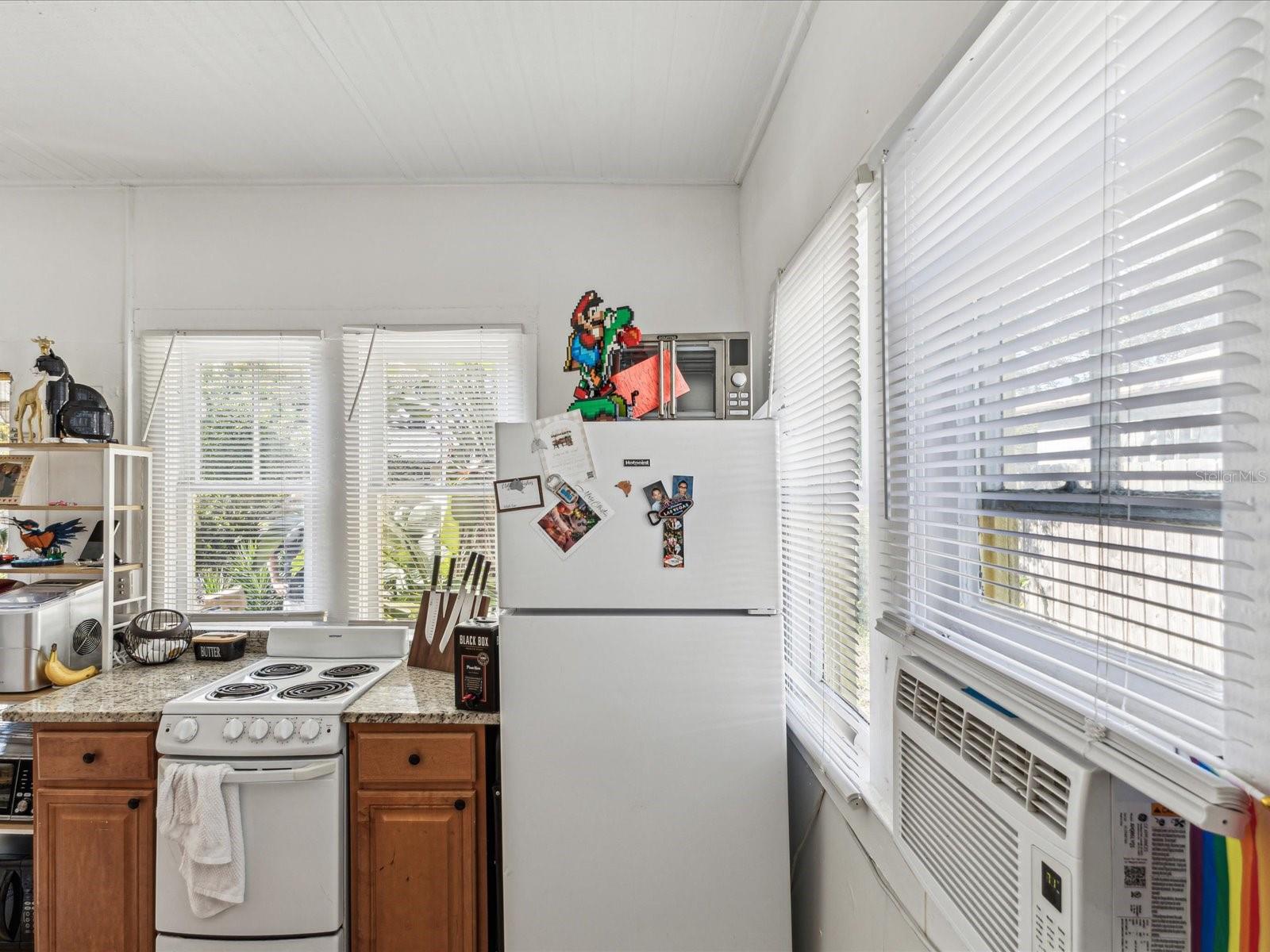 Image 10 of 31 For 305 Woodrow Avenue