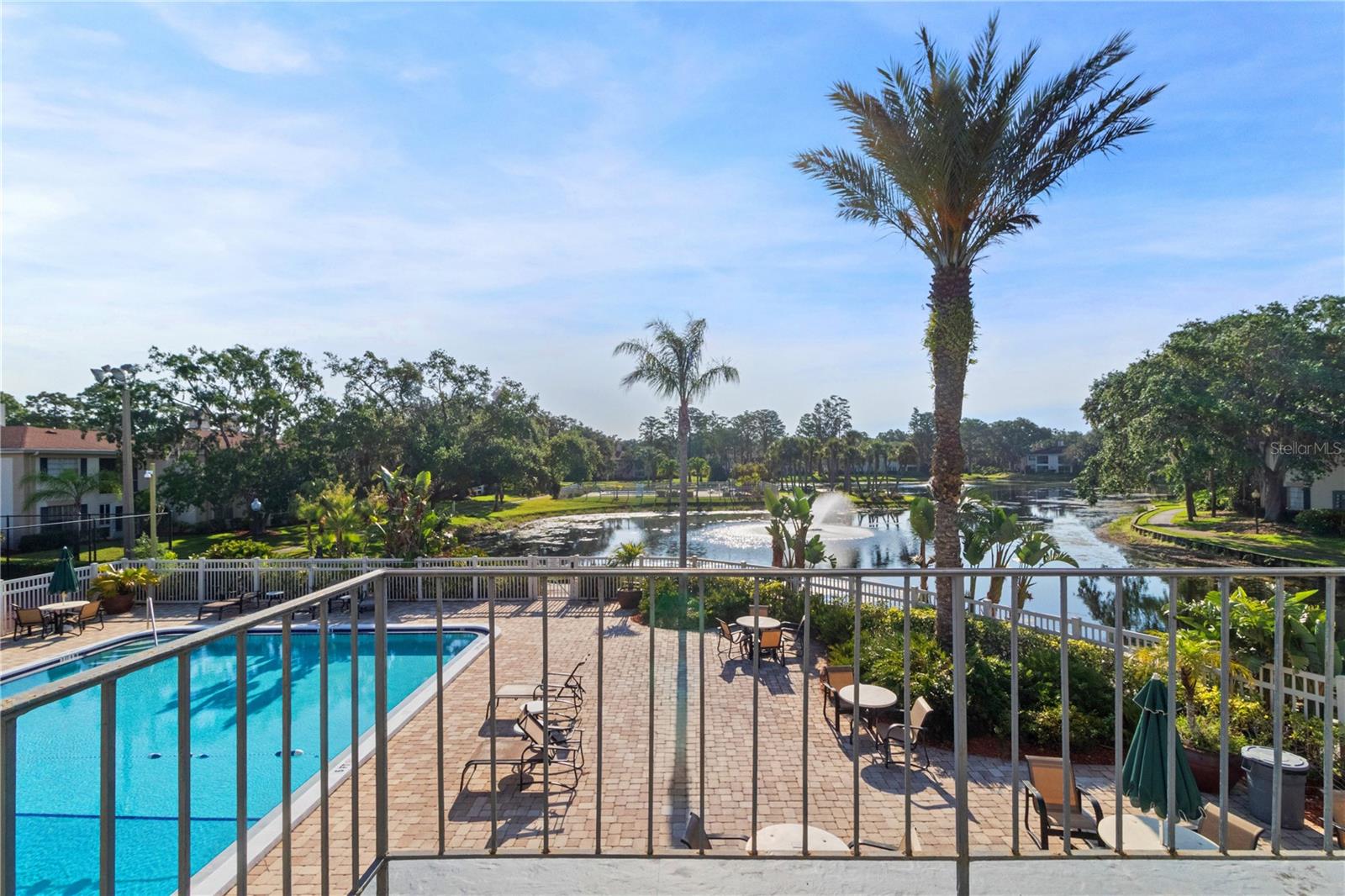 Image 20 of 24 For 10309 Carrollwood Lane 11
