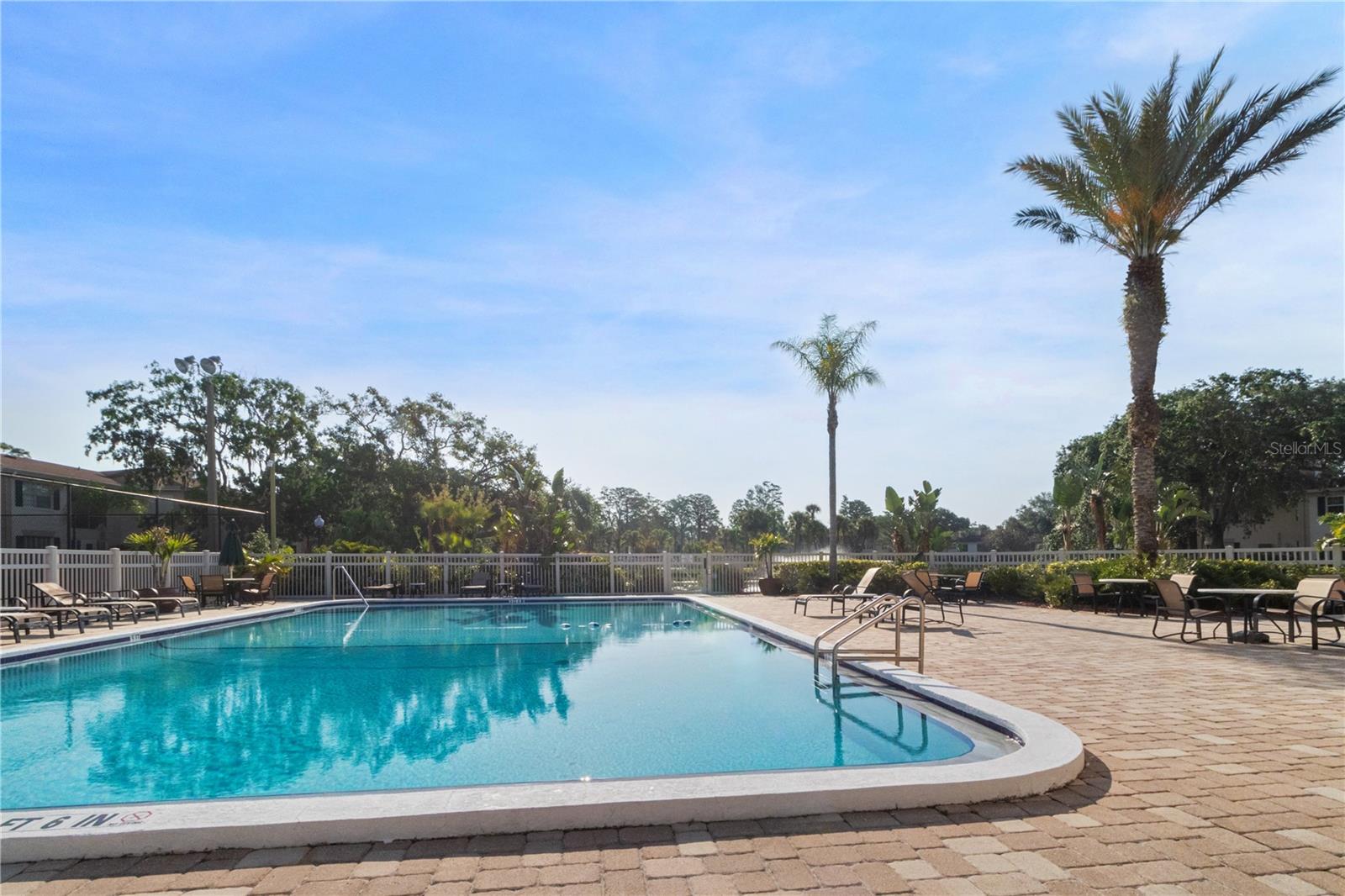 Image 22 of 24 For 10309 Carrollwood Lane 11