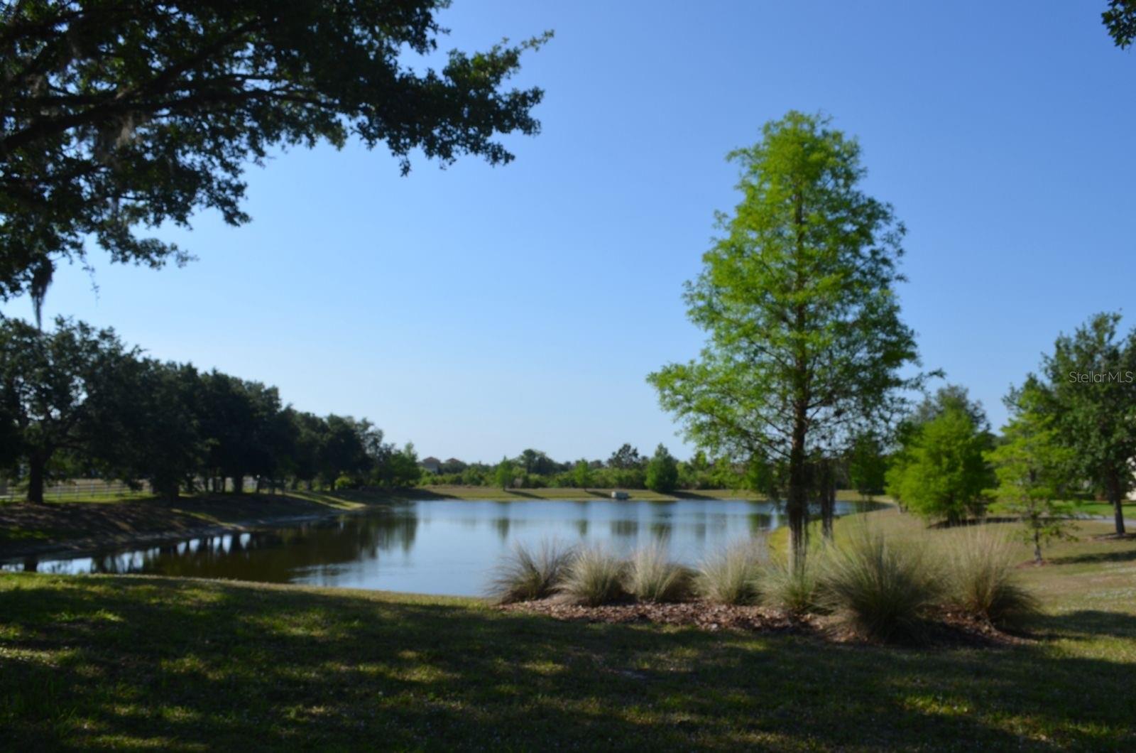 Image 10 of 49 For 11578 Ashlin Park Boulevard
