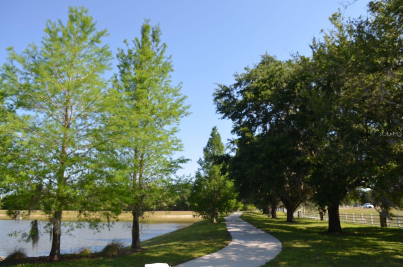 Image 12 of 49 For 11578 Ashlin Park Boulevard