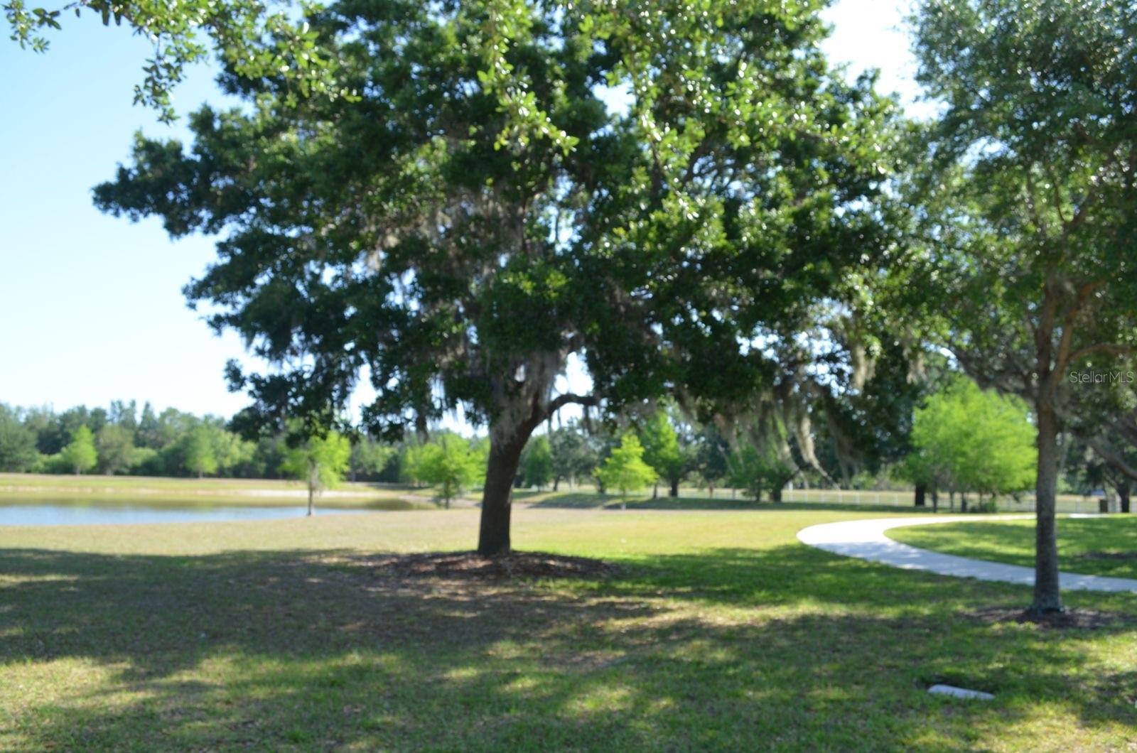 Image 9 of 49 For 11578 Ashlin Park Boulevard