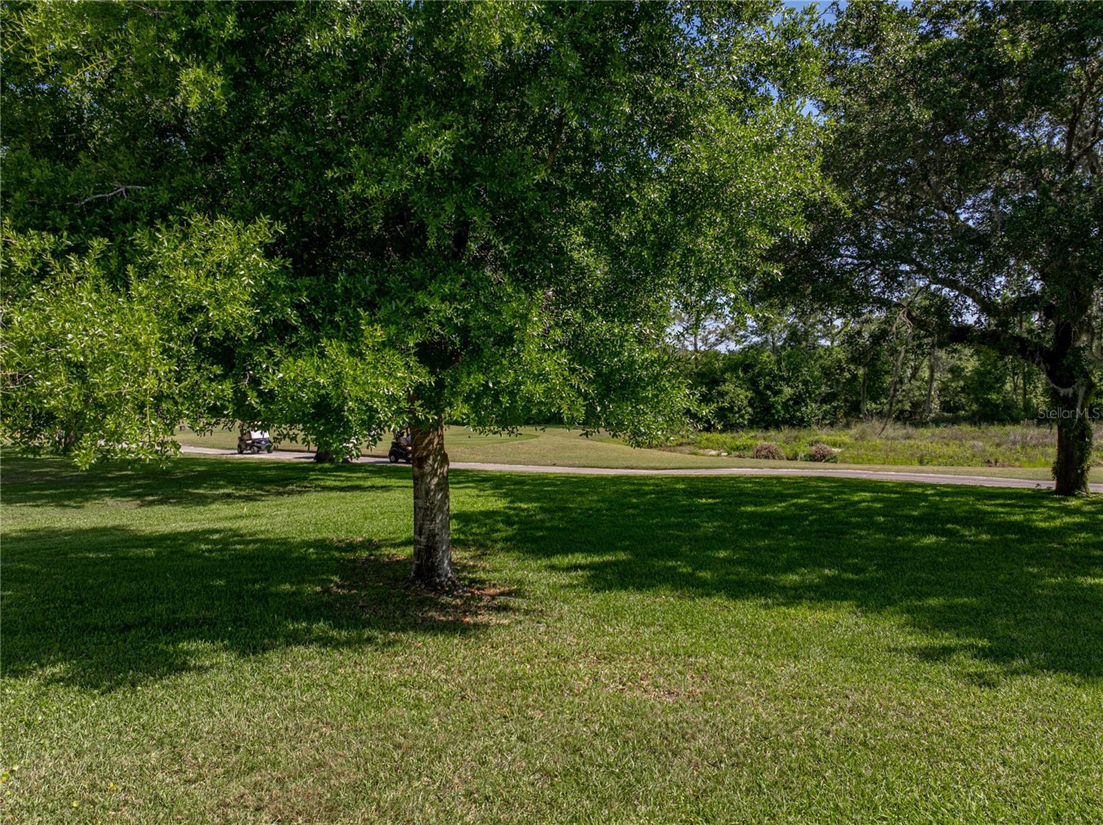 Image 69 of 86 For 12902 Grand Traverse Drive