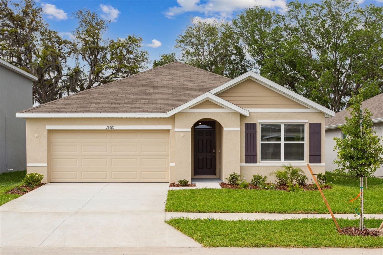 Details for 33685 Field Maple Loop, WESLEY CHAPEL, FL 33545