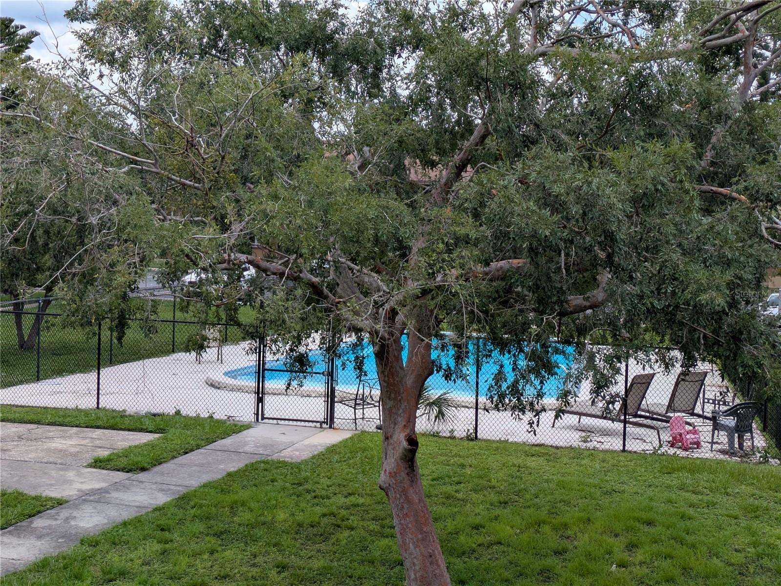 Image 18 of 30 For 2500 Harn Boulevard B12