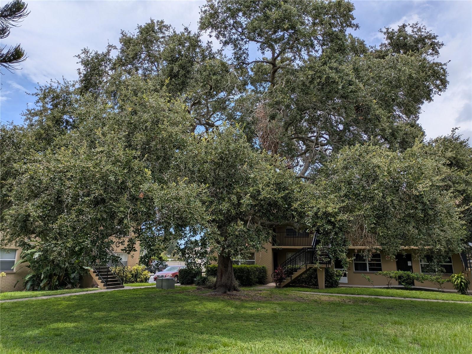Image 23 of 30 For 2500 Harn Boulevard B12