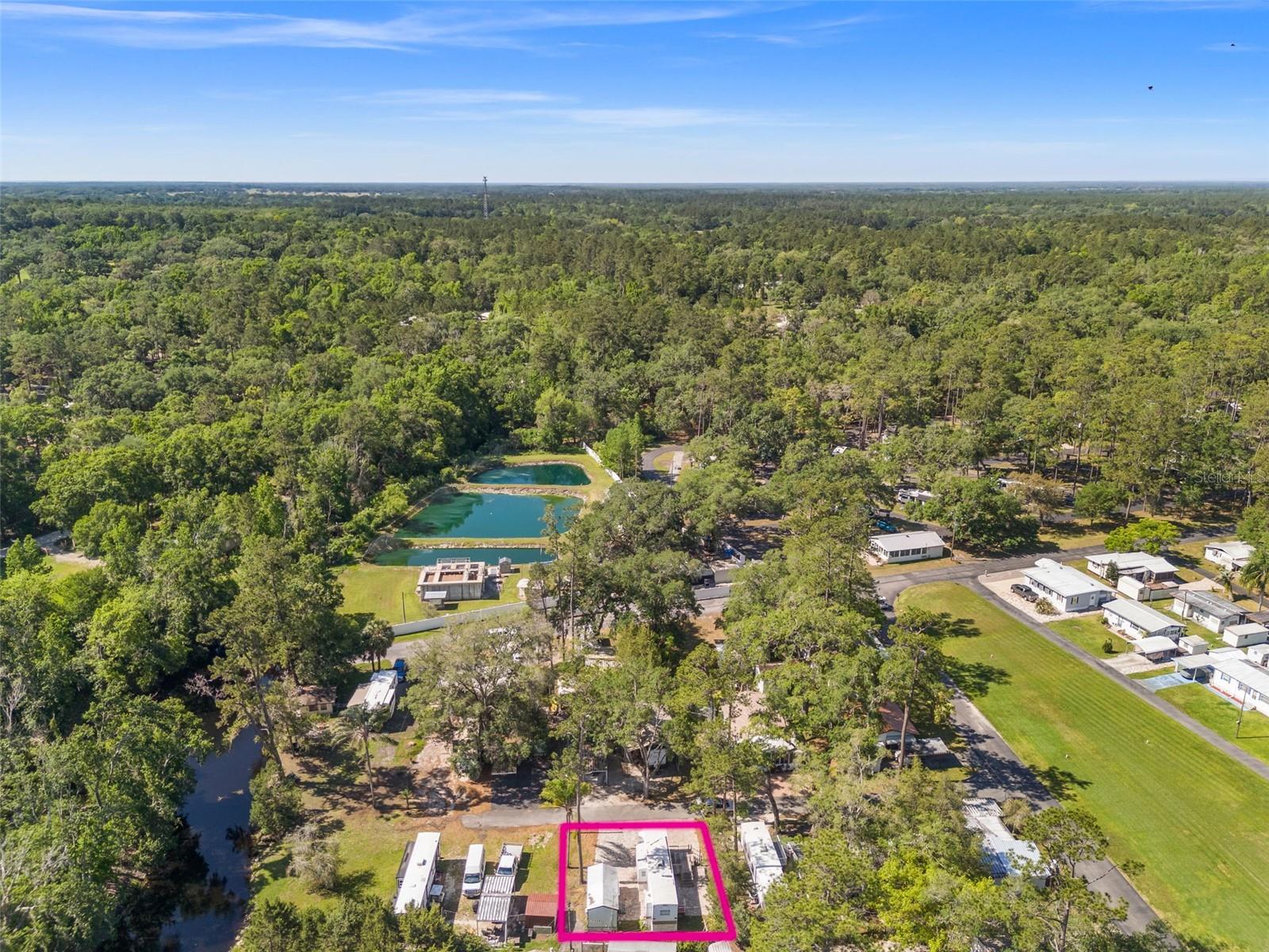 Image 6 of 36 For 2092 Culbreath Road D15