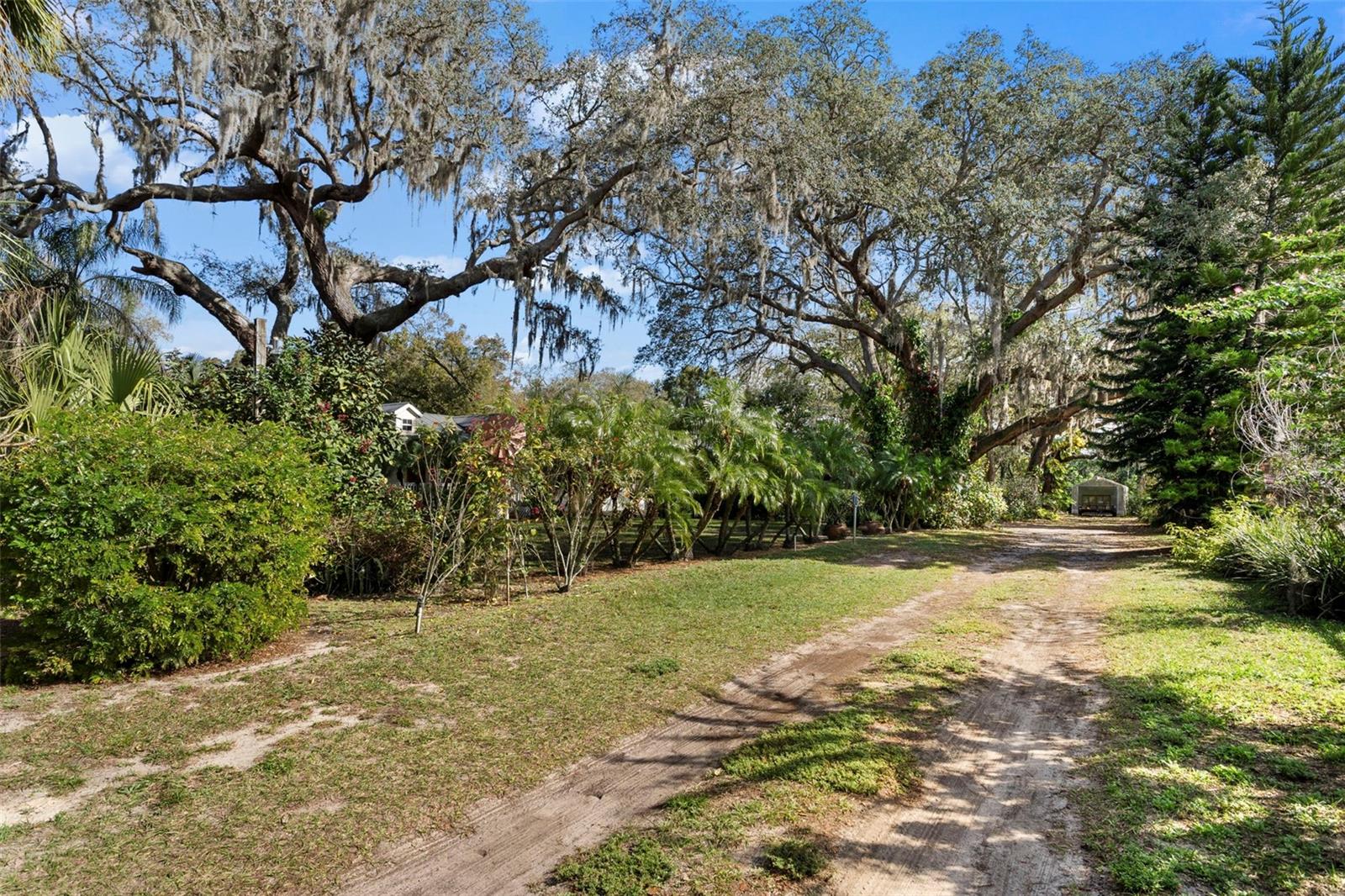 Listing photo id 28 for 13015 Elm Street