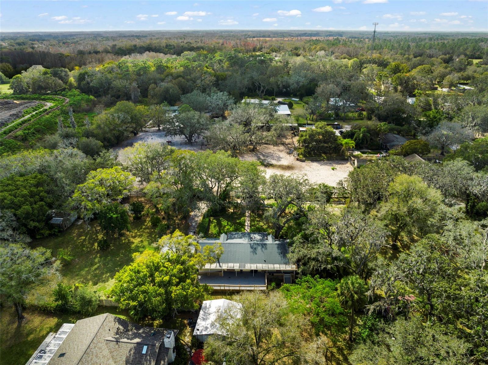 Listing photo id 39 for 13015 Elm Street