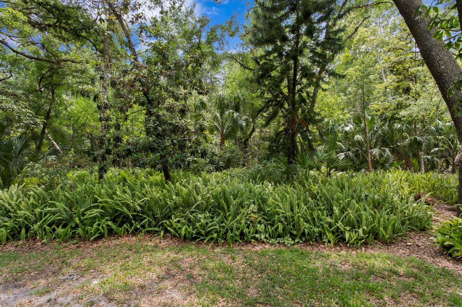 Image 32 of 43 For 15314 Sherwood Forest Drive