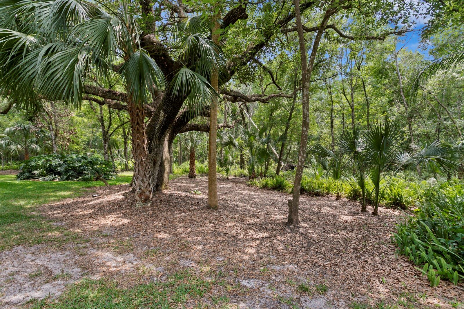 Image 33 of 43 For 15314 Sherwood Forest Drive